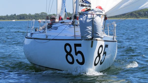 La solitaire – photo 71