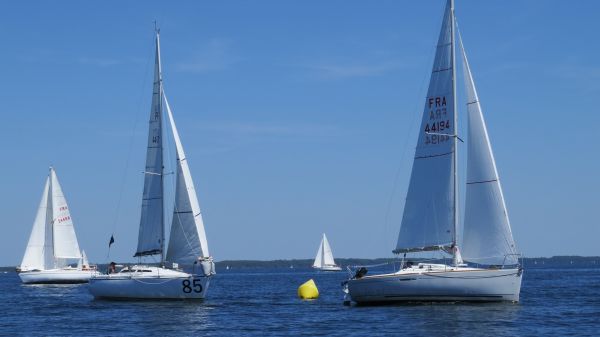 La solitaire – photo 106