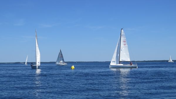 La solitaire – photo 86