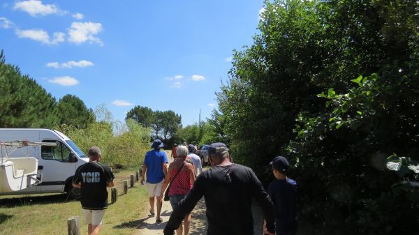 La solitaire – photo 11
