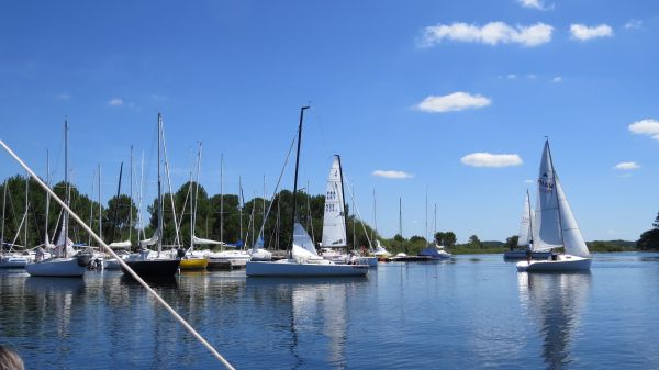 La solitaire – photo 34