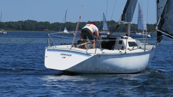 La solitaire – photo 48