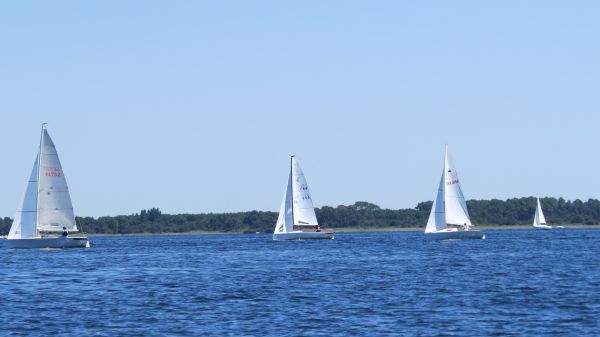 La solitaire – photo 77