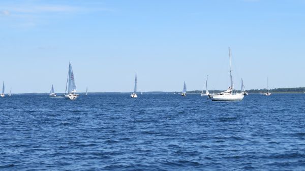 La solitaire – photo 49