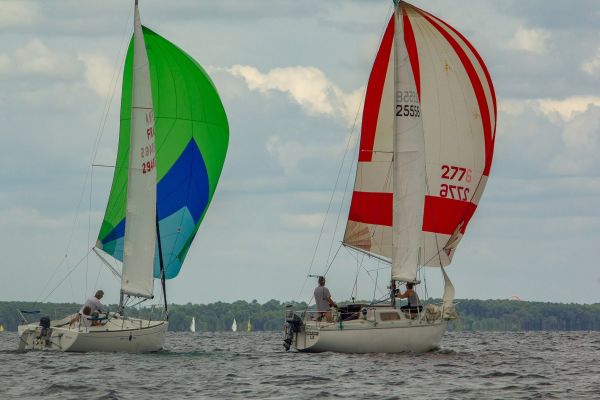 Trophée botalo – photo 33