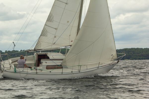 Trophée botalo – photo 37