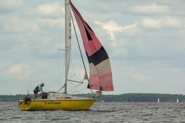 Trophée botalo – photo 34