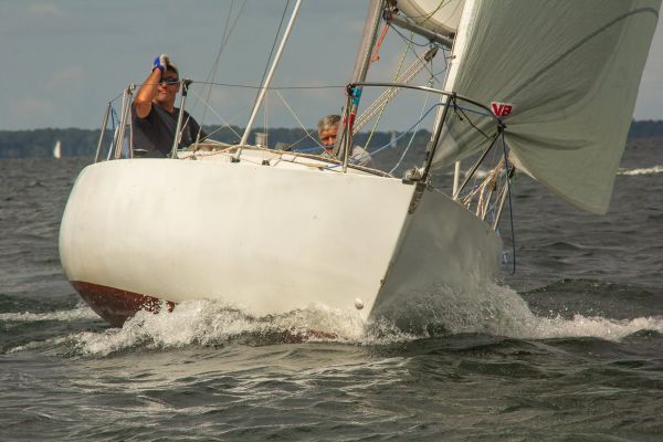 Trophée botalo – photo 52