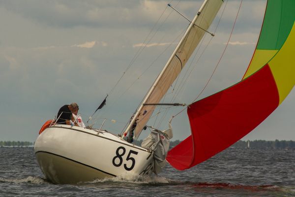 Trophée botalo – photo 53