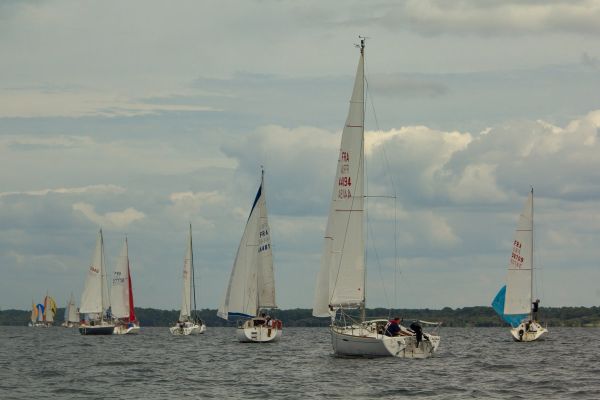 Trophée botalo – photo 19