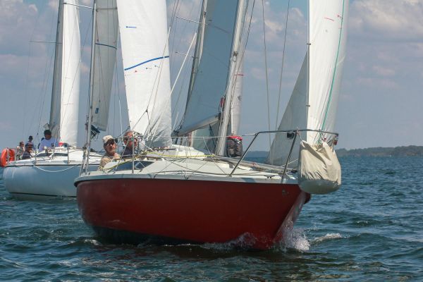 Trophée ducom pierre & fils – photo 12