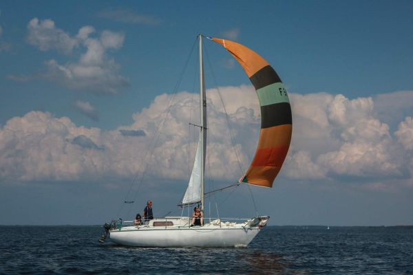 Trophée ducom pierre & fils – photo 107