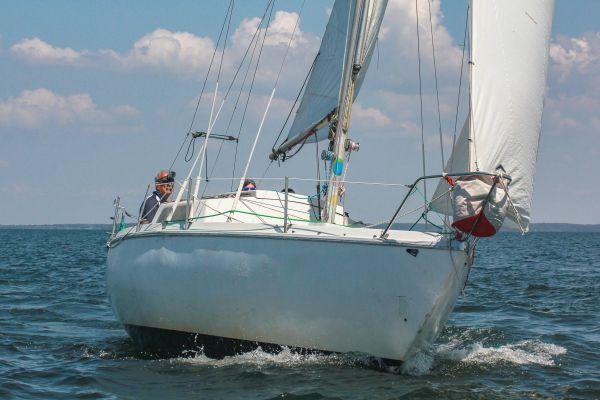 Trophée ducom pierre & fils – photo 16