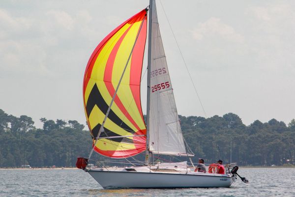 Trophée ducom pierre & fils – photo 90