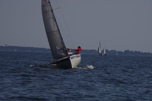 Coupe du muguet – photo 36