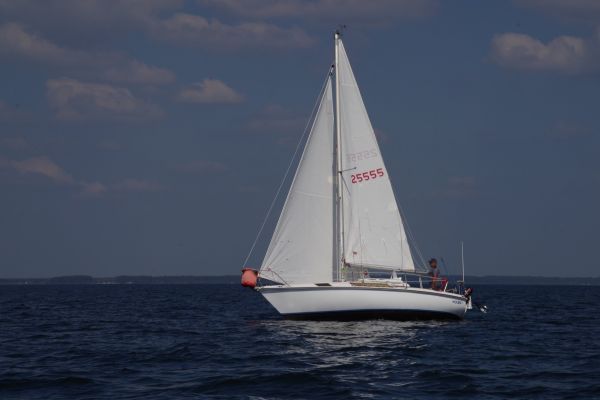 Coupe du muguet – photo 40