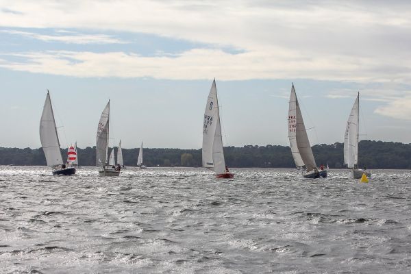 Championnat d'automne 1 – photo 28