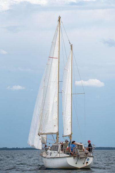 Journée du jeune régatier et du débutant – photo 99