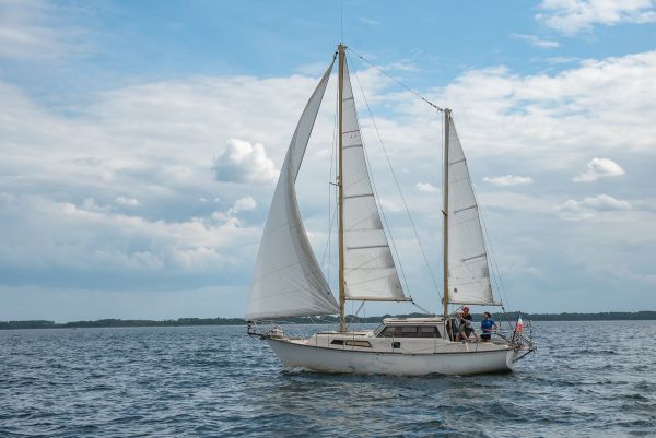 Journée du jeune régatier et du débutant – photo 33