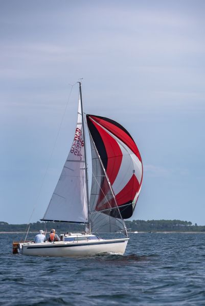 La coupe du président – photo 32