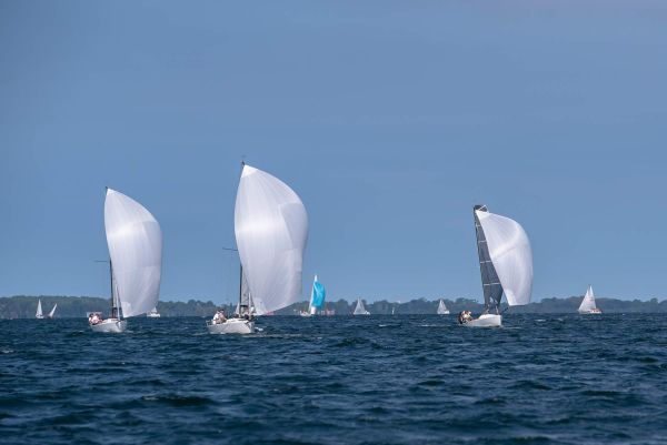 La coupe du président – photo 25