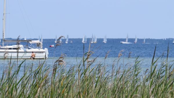 La Solitaire 2019 – photo 85