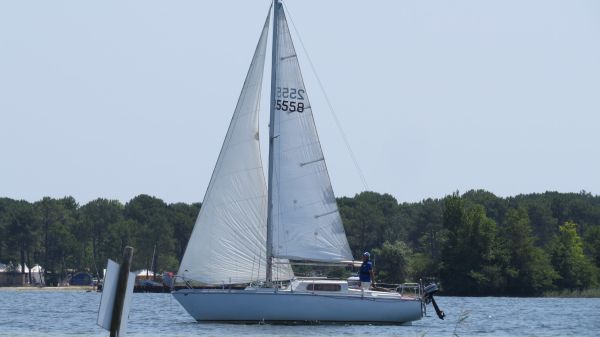 La Solitaire 2019 – photo 82