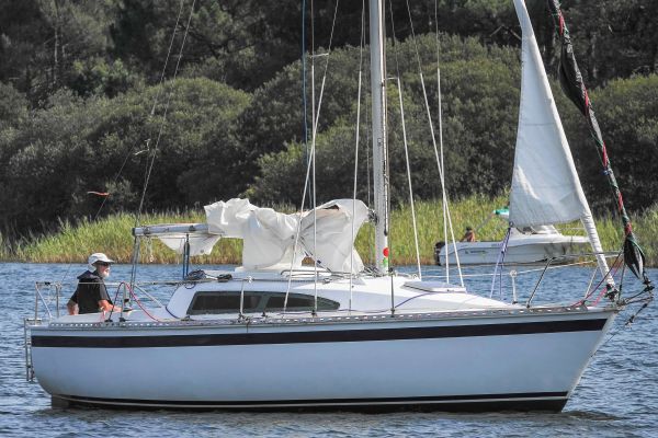 La solitaire – photo 69