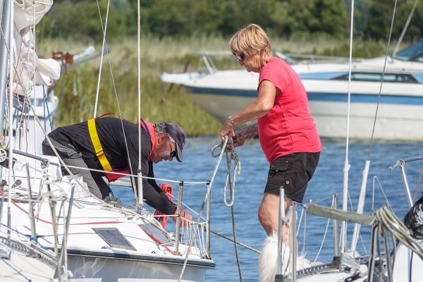 La solitaire – photo 71