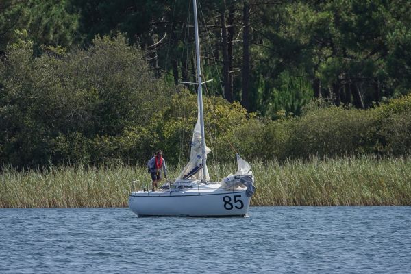 La solitaire – photo 29
