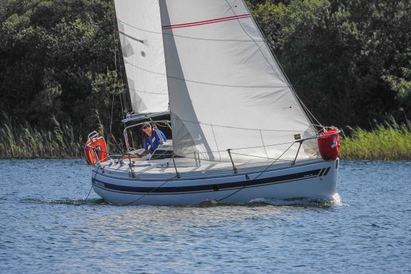 La solitaire – photo 18