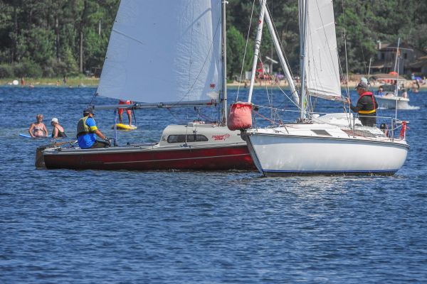 La solitaire – photo 62