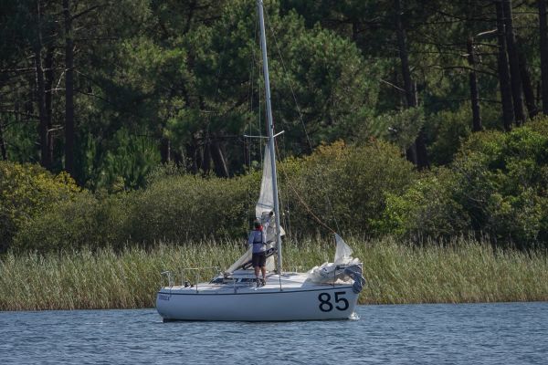 La solitaire – photo 30