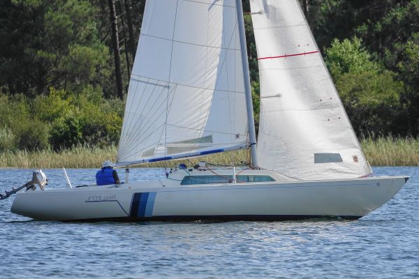 La solitaire – photo 26