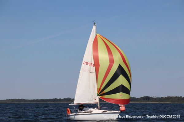 Régate ducom pierre & fils – photo 82