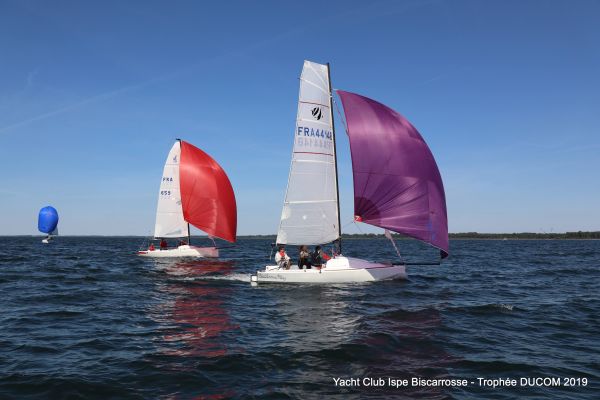 Régate ducom pierre & fils – photo 62