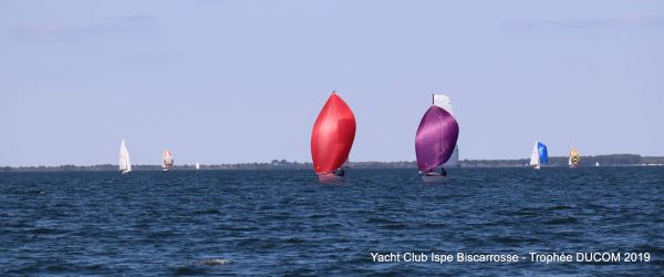Régate ducom pierre & fils – photo 24