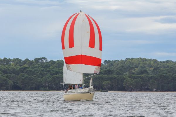 Régate du jeune régatier et du débutant – photo 24