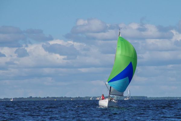 Trophée – photo 74