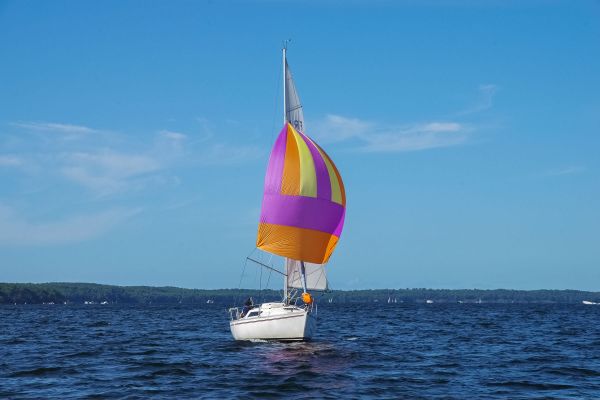 Trophée – photo 98