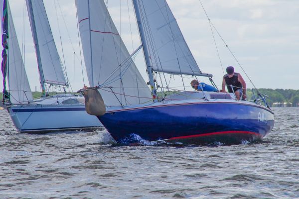 Trophée – photo 16