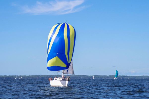 Trophée – photo 62