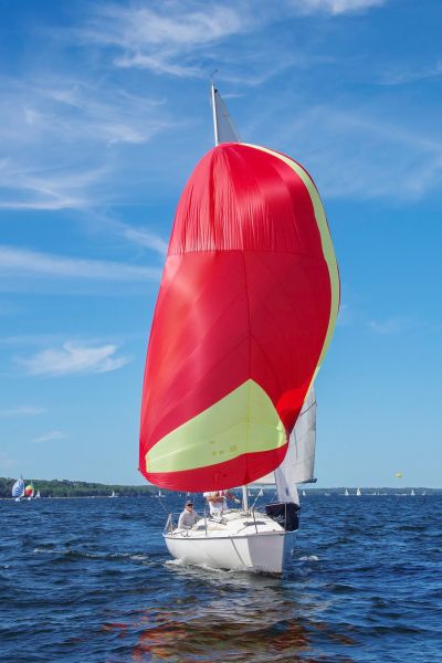 Trophée – photo 44