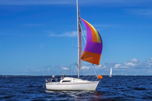 Trophée – photo 100
