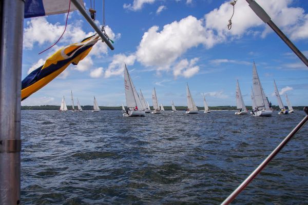 Trophée – photo 3