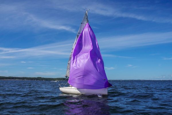 Trophée – photo 102