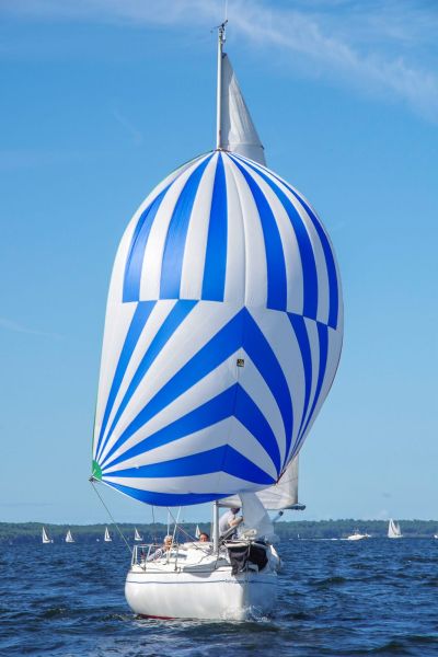 Trophée – photo 48