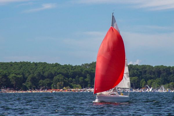 Trophée – photo 53