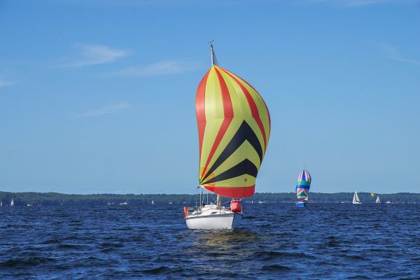 Trophée – photo 73