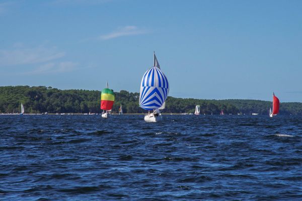 Trophée – photo 46